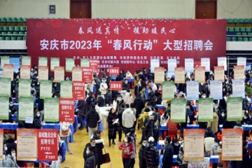 春风送真情  援助暖民心---安徽bevictor伟德集团参加全市招聘会系列活动